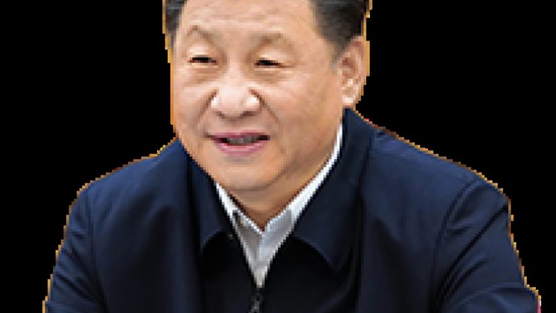 农药助剂定制流程对比：从需求到配方的三步拆解